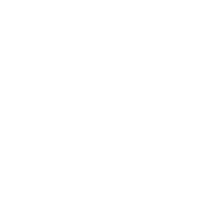 percentage icon white